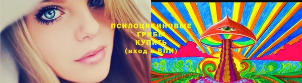 бошки Зерноград