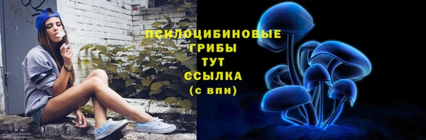 бошки Зерноград