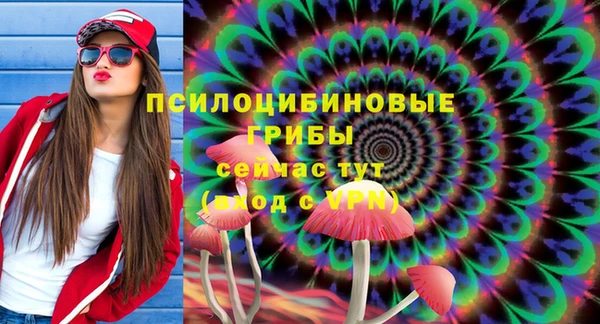 синтетический гашиш Зеленокумск